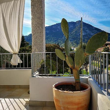 B&B Limone Сан Теодоро Екстериор снимка